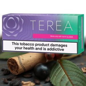 سیگار ترا پرپل ویو | terea purple wave